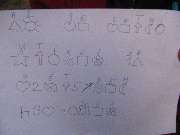 zv�t�it